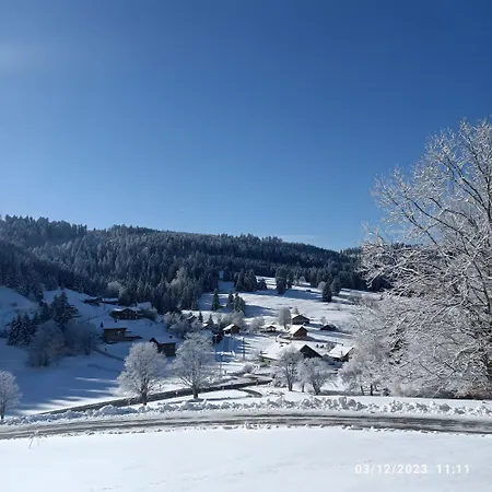 Jonquille - La Petite Meurthe *