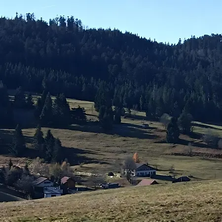 Jonquille - La Petite Meurthe