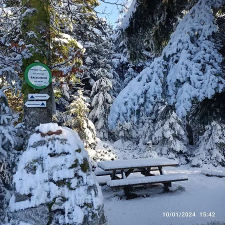 Jonquille - La Petite Meurthe Apartment