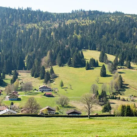 Jonquille - La Petite Meurthe Ban-sur-Meurthe-Clefcy