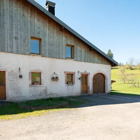 Jonquille - La Petite Meurthe Ban-sur-Meurthe-Clefcy
