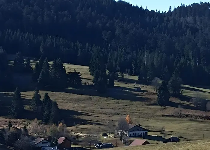 Jonquille - La Petite Meurthe