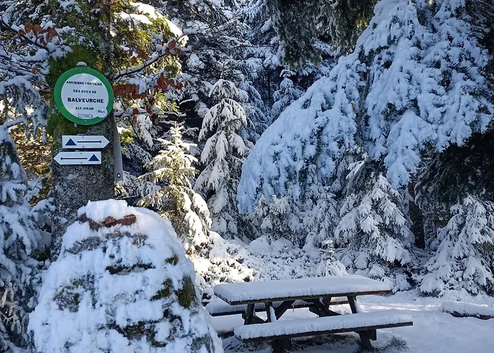 Jonquille - La Petite Meurthe Apartment