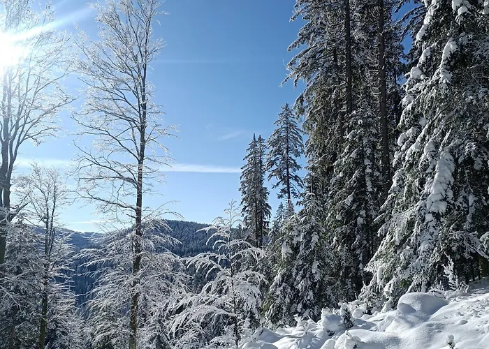 Apartment Jonquille - La Petite Meurthe Ban-sur-Meurthe-Clefcy